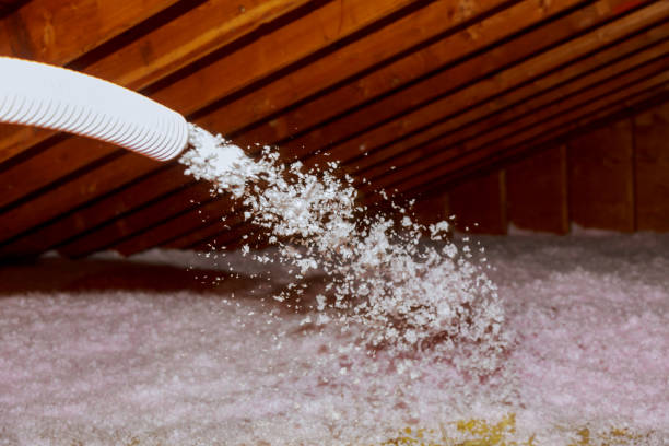 Best Types of Insulation in Thibodaux, LA